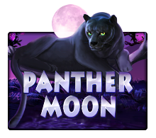 เกมสล็อต Panther Moon